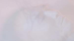 The Hidden Therapist - Central Role of Music in Psychedelic Therapy - Wavepaths