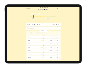 Therapeutic Functions